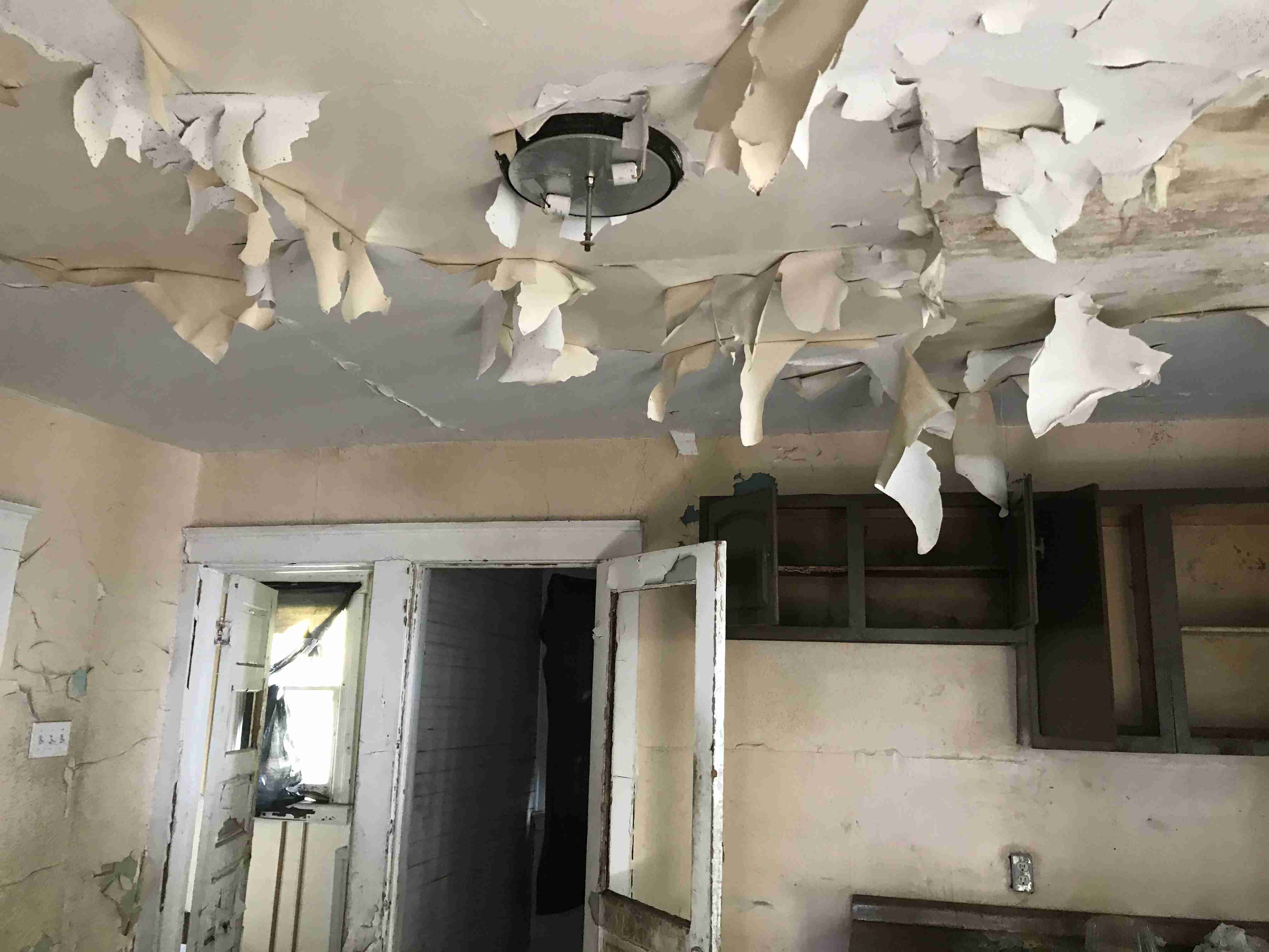 Photo Oct 13, 11 40 44 AM.jpg